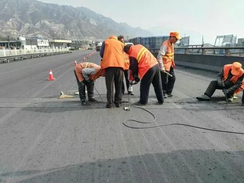 阳东道路桥梁病害治理